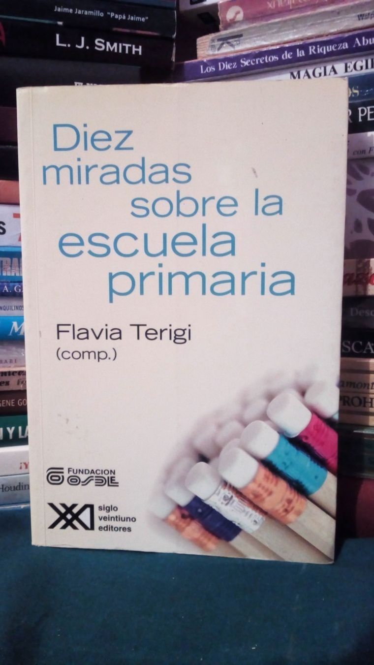 El libro de Flavia Terigi.  