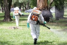 Continúan las tareas de desinfección en las zonas donde el dengue está presente. Foto: Archivo MDZ
