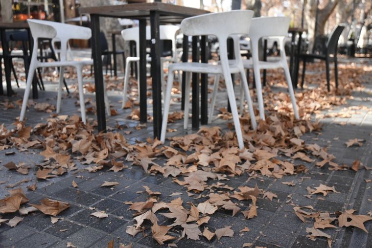 La temperatura máxima del sábado será de 22º Foto: Rodrigo DAngelo / MDZ