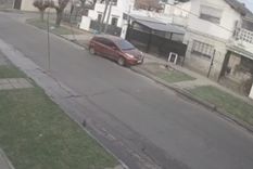 insolito: un caballochorro tiene locos a los vecinos de un distrito bonaerense