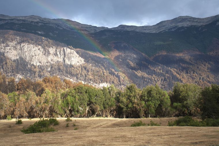 Este viernes, anunciaron el inicio de la reapertura de los servicios turísticos en Los Alerces.&nbsp;