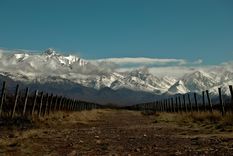 Los Chacayes, el pueblo mendocino que compite entre los mejores del mundo