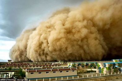 MDZol | Tormenta de arena en Phoenix, EEUU. Foto: Web