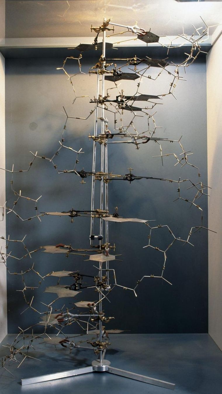 Los desiertos genéticos son regiones de la llamada basura genética que no codifican proteínas, pero que pueden desempeñar un papel importante en las enfermedades. Foto: GETTY IMAGES