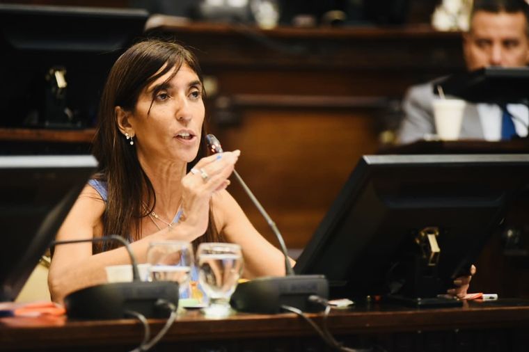 La senadora Natacha Eisenchlas Foto: X @NEisenchlas