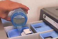 Video viral Foto: TikTok