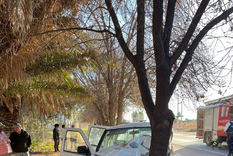 Así quedó el vehículo de las víctimas tras impactar contra el árbol Foto: Ministerio de Seguridad de Mendoza