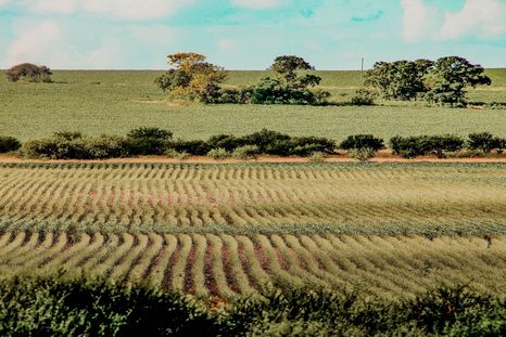El museo ferroviario y las tradiciones de inmigrantes forman parte del atractivo cultural del pueblo. El museo ferroviario y las tradiciones de inmigrantes forman parte del atractivo cultural del pueblo.