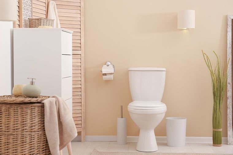 Con este truco casero el baño quedará impecable Foto: Shutterstock