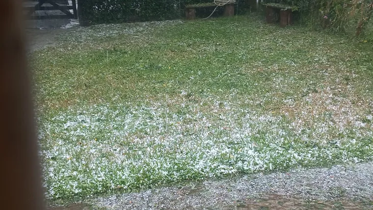 Un jardín lleno de granizo en General Belgrano, Buenos Aires.