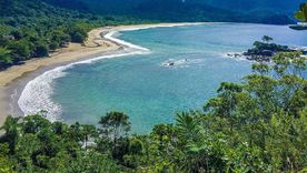 Esta playa de Brasil enamora a todos los turistas que la visitan. Esta playa de Brasil enamora a todos los turistas que la visitan.