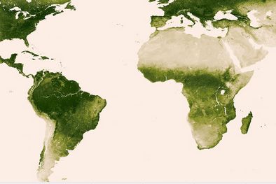 MDZol | Foto: nnvl.noaa.gov