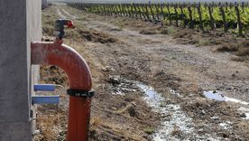 fallo judicial: la reaccion del ex titular de irrigacion que restringio pozos de agua