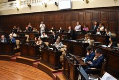 Los Diputados en sesión Foto: Prensa Legislatura de Mendoza