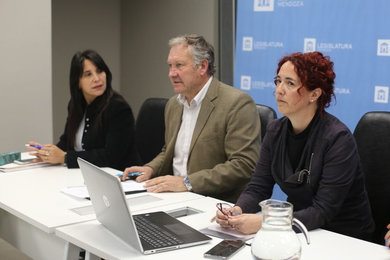 Andrea Molina es titular del EPRE y este año se vence su mandato. Puede ser reelecta. Andrea Molina es titular del EPRE y este año se vence su mandato. Puede ser reelecta.