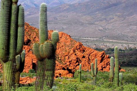 Un pueblo único. Fotos: uquicabanas.com Un pueblo único. Fotos: uquicabanas.com