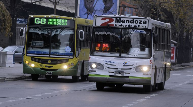 Foto: Alf Ponce / MDZ