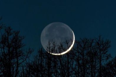 MDZol | Ya entró la Luna nueva en Sagitario, con renovaciones, nuevos desafíos y cambios en todos los signos. Conocé los detalles acá. Foto: Freepik