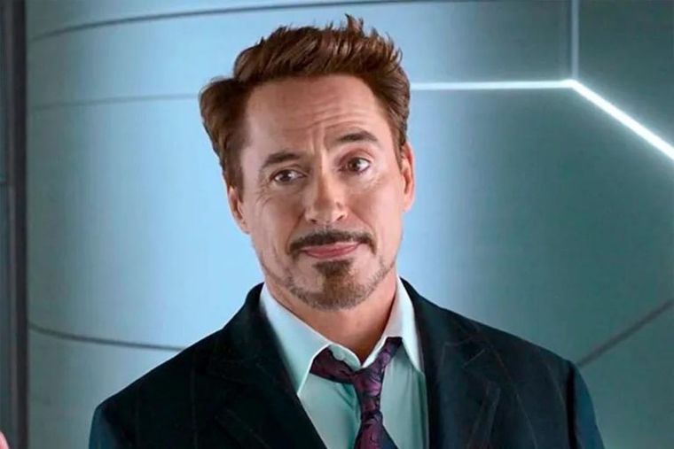 Robert Downey Jr. Robert Downey Jr. en su mansión Foto: La Nación
