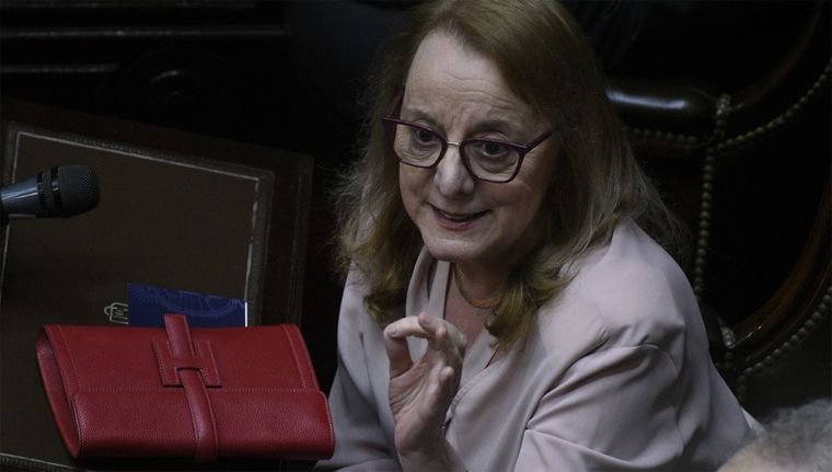 Ficha Limpia: el Senado la rechazó y el kirchnerismo festejó en el recinto. Foto: Juan Mateo Aberastain/MDZ