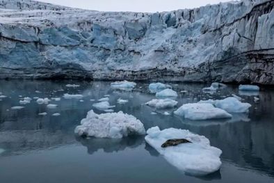 MDZol | La temperatura en la Antártica están aumentando a una velocidad considerable. Foto: Getty Images