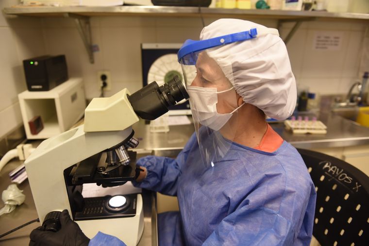 Foto: Gobierno de Mendoza