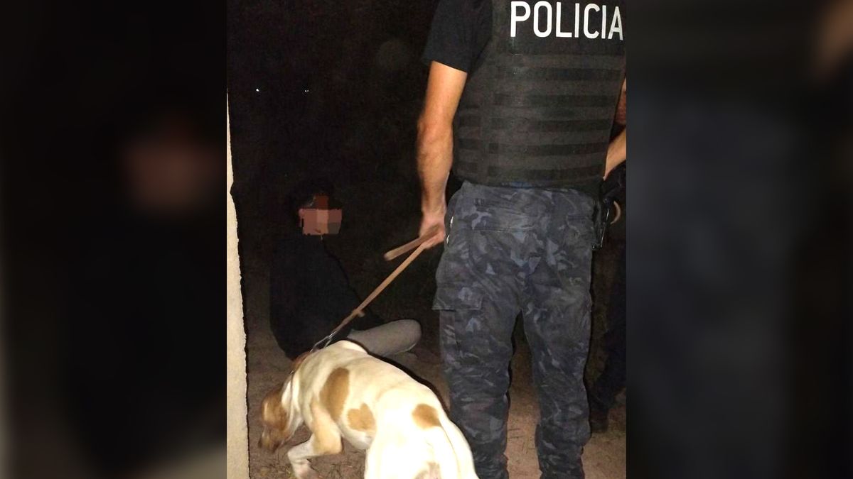 Un perro policial ayudó a resolver un paradero: el can localizó a un hombre que era buscado en el Este