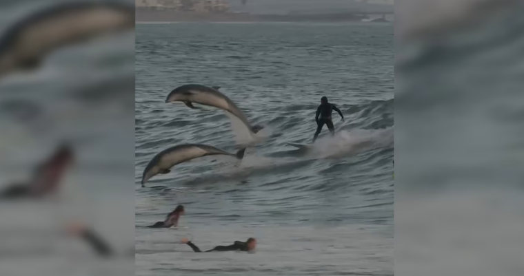 Las imágenes rápidamente se hicieron virales en Internet. Foto: Archivo