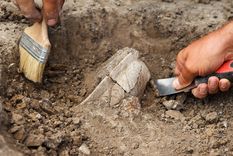 Un descubrimiento arqueológico en Sudán aportó la primera prueba directa sobre la existencia del rey Qasqash.