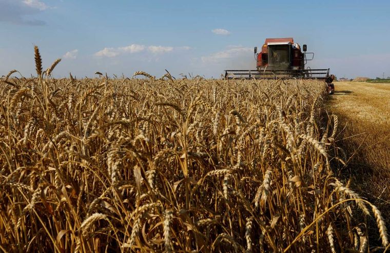 La falta de lluvias en la región pampeana pone en alarma al sector agropecuario argentino que ya sufrió una fuerte baja en la cosecha de esta campaña Foto: NA