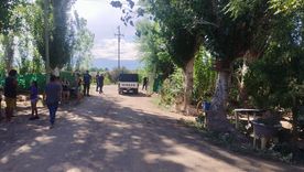 Policías trabajando sobre la camioneta Nissan del conductor que protagonizó el accidente fatal de la niña. Policías trabajando sobre la camioneta Nissan del conductor que protagonizó el accidente fatal de la niña.