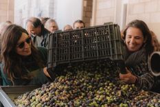 Uan oportunidad genial para disfrutar. Foto: Zuelo