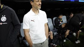 Niko Kovac, DT del Borussia Dortmund, marcó un detalle muy particular de los estadios del Mundial de Clubes. Niko Kovac, DT del Borussia Dortmund, marcó un detalle muy particular de los estadios del Mundial de Clubes.
