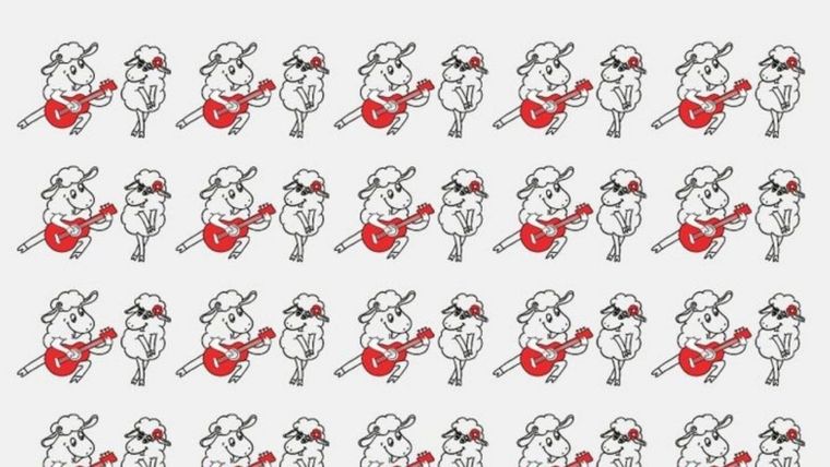 ACERTIJO VISUAL ACERTIJO VISUAL, RETO VISUAL, OVEJA Foto: ARCHIVO