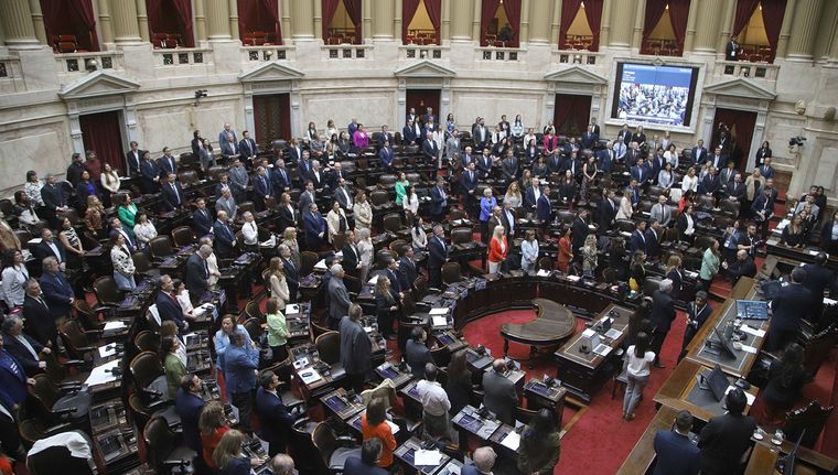 Los diputados esperan el proyecto del Ejecutivo Foto: NA