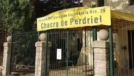 un alumno utilizó gas pimienta durante un recreo y provocó la intoxicación de al menos 20 personas en una escuela de Mar del Plata.