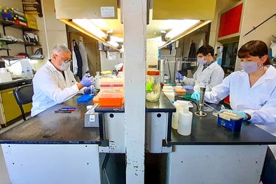 MDZol | Foto: Télam