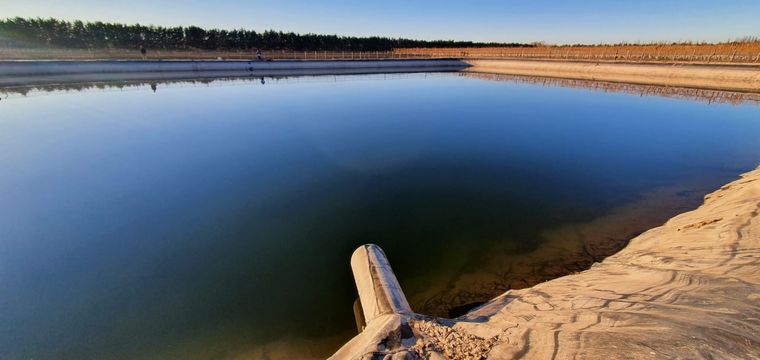 El matrimonio cayó a un piletón ubicado en una finca de Luján