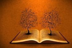 Foto: vladstudio.com