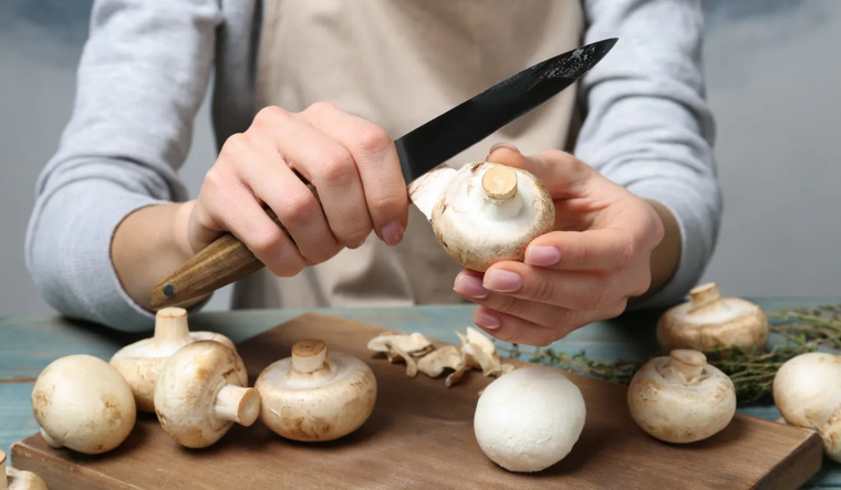 La Dirección de Educación Superior de la DGE aprobó el plan de estudios de la formación en productor de hongos comestibles en Santa Rosa. Los detalles. Foto: Shutterstock.