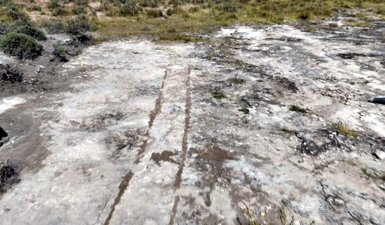 Huellas fósiles de dinosaurio empleadas en el estudio. Foto Dpa Huellas fósiles de dinosaurio empleadas en el estudio. Foto Dpa
