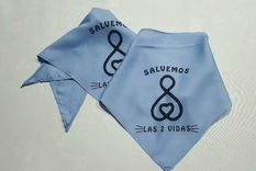 Las organizaciones están en contra del proyecto de ley enviado por Fernández. Las organizaciones están en contra del proyecto de ley enviado por Fernández.