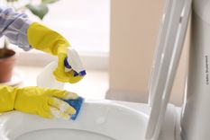 inodoro Es importante una limpieza correcta. Foto: Shutterstock