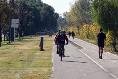 Foto: ALF PONCE / MDZ