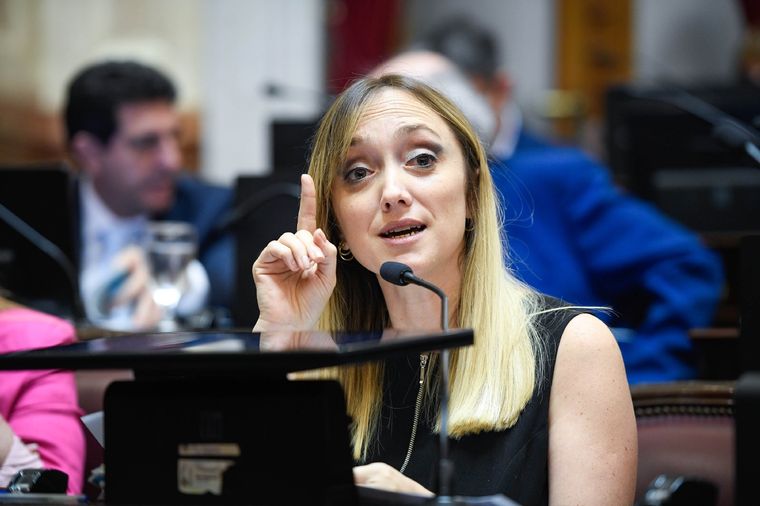 Foto: X @SenadoArgentina