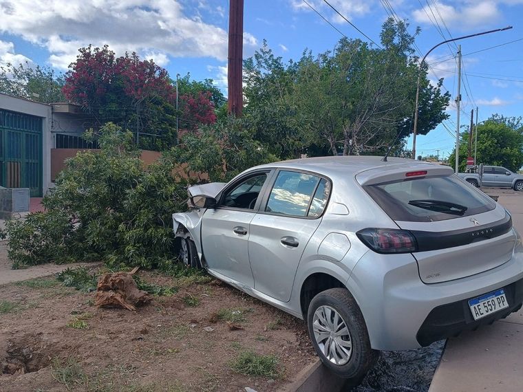 El vehículo arrancó un árbol, se estrelló contra un poste y terminó sobre la acequia Foto: Emilce Vargas Ferrara/MDZ