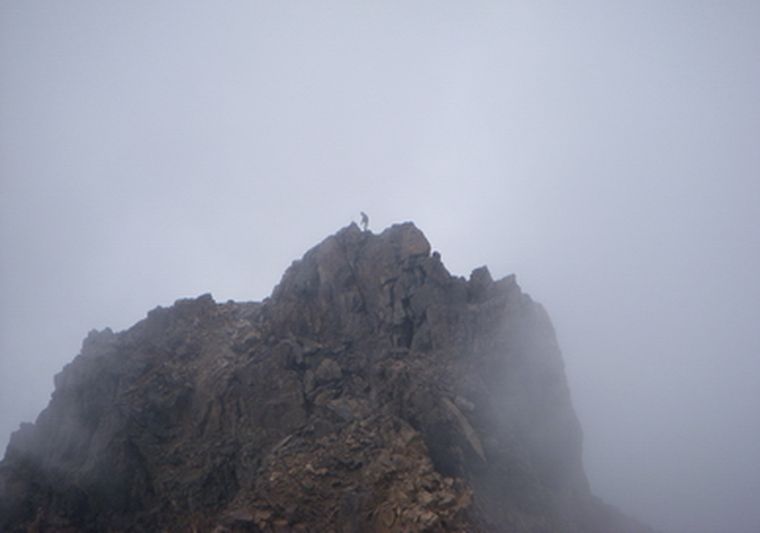 Cuidar la diversidad, mandato absoluto. Foto: Ulises Naranjo / MDZ.