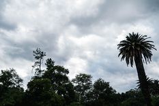 Las nubes seguirán presentes en Mendoza.&nbsp;
