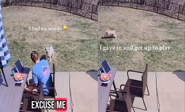 El video fue registrado por las cámaras de seguridad de la joven. Foto: Archivo