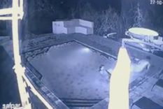 una pareja fue sorprendida en una piscina por un cocodrilo